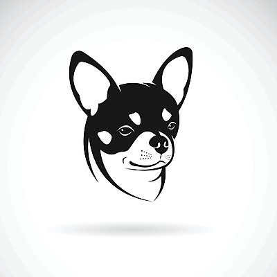 EPS 해외이미지 일러스트 사람없음 반려동물 검은색 흰색 개 강아지 치와와 해외202004 해외일러스트 동물 컬러 포유류 파일형식 벡터 이미지허브