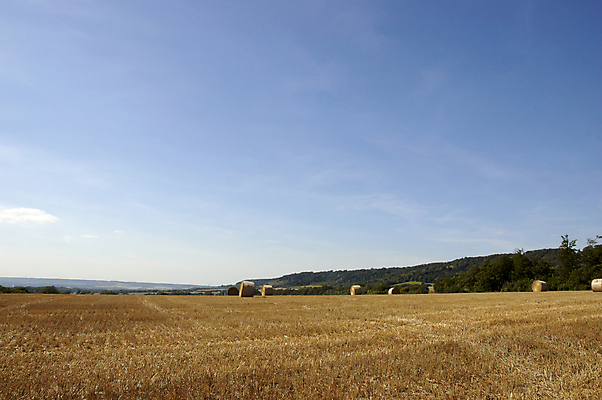 포토 JPG 해외이미지 밭 농업 자연 하늘 잉글랜드 풍경 사람없음 여름 파란색 농작물 햇빛 태양 농장 수확 농촌 원형 볏짚 밀 뭉치 카피스페이스 해외202004 해외포토 자연요소 도형 계절 산업 컬러 영국 곡류 공백 시골 짚 생태계 파일형식 이미지허브