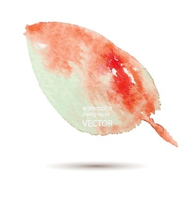 EPS 해외이미지 식물 잎 일러스트 탁자 붓터치 수채화 사람 사람없음 액체 그림 번짐 효과 해외202004 해외일러스트 가구 파일형식 벡터 이미지허브