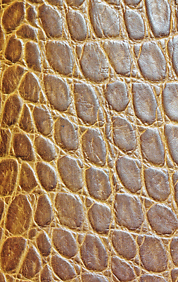 포토 JPG 해외이미지 동물 디자인 옷 산업 백그라운드 패턴 의자 자연 표면 날씨 추상 미술 사람없음 노란색 우주 어둠 줄무늬 수확 골동품 조약돌 직물 얼룩 거친 주름 가죽 유연 피부 질감 복고 날것 부드러움 결 한조각 내추럴 소가죽 숨기 엘리먼트 옛날 울퉁불퉁 카피스페이스 효과 해외202004 해외포토 1 컬러 가구 무늬 농업 모션 문화예술 신체부위 공백 돌_바위 감각 생태계 파일형식 이미지허브