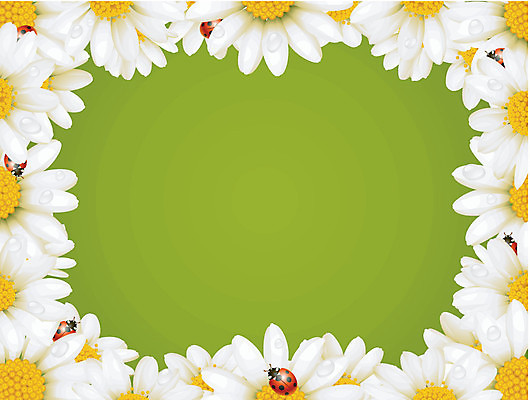 EPS 해외이미지 식물 디자인 배너 계절 꽃 백그라운드 꽃무늬 밭 일러스트 자연 벽지 프레임 장식 빨간색 초록색 봄 수확 벚꽃 흰색 인사 신용카드 모서리 벌레 이슬 허브 딱정벌레 심볼 무당벌레 뼈대 내추럴 고립 엘리먼트 캐모마일 해외202004 해외일러스트 컬러 곤충 무늬 농업 금융 예절 생태계 파일형식 벡터 이미지허브