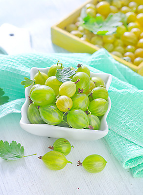 포토 JPG 해외이미지 그릇 잎 사람없음 아웃포커스 초록색 담기 구스베리 해외202004 해외포토 식물 식기 열매 컬러 모션 촬영기법 파일형식 이미지허브