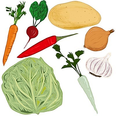EPS 해외이미지 음식 잎 다이어트 채소 일러스트 자연 고추 양파 파슬리 건강 빨간색 초록색 여름 노란색 당근 가을 흰색 변화 스케치 수집 양배추 윤곽 고립 총각무 해외202004 해외일러스트 식물 계절 컬러 컨셉 뿌리채소 미술 무 생태계 파일형식 벡터 이미지허브