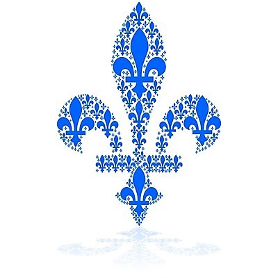 EPS 해외이미지 전통 꽃 문화 컨셉 캐나다 일러스트 아이디어 그래픽 반사 프랑스 수확 중세 역사 심볼 사인 그림 신분 방패 해외202004 해외일러스트 식물 유럽 북아메리카 농업 파일형식 벡터 이미지허브