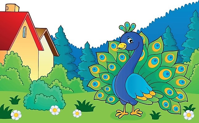 EPS 해외이미지 동물 디자인 응시 행복 일러스트 자연 조류 미술 장식 컬러풀 정원 그리기 공작 깃털 그림 꼬리 동물상 뒤뜰 스타일 해외202004 해외일러스트 시선 감정 컬러 모션 문화예술 조형물 생태계 파일형식 벡터 이미지허브