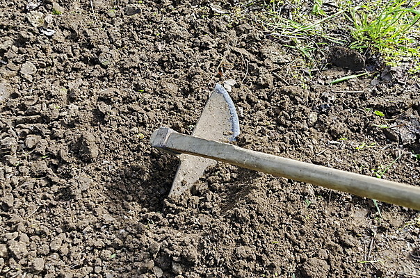 포토 JPG 해외이미지 식물 지구 백그라운드 밭 농업 자연 주택 관리 사람없음 야외 정원 경작 흙 장비 공구 농부 땅 오브젝트 원예 복고 먼지 땅바닥 땅파기 원예사 조작 해외202004 해외포토 직업 산업 바닥 취미 건물 농사 도구 생태계 파일형식 이미지허브