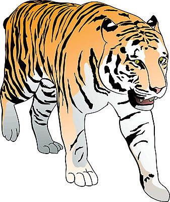 EPS 해외이미지 동물 아시아 야생동물 오렌지 일러스트 포유류 자연 털 동양인 노란색 걷기 검은색 고양이 힘 줄무늬 호랑이 위험 큼 만화 웅장함 해외202004 해외일러스트 나라 컬러 컨셉 무늬 과일 모션 인종 반려동물 크기 생태계 파일형식 벡터 이미지허브