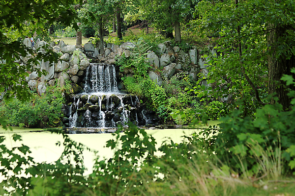 포토 JPG 해외이미지 잎 자연 풍경 사람없음 야외 초록색 물 폭포 흐름 내추럴 해외202004 해외포토 자연요소 식물 컬러 컨셉 생태계 파일형식 이미지허브