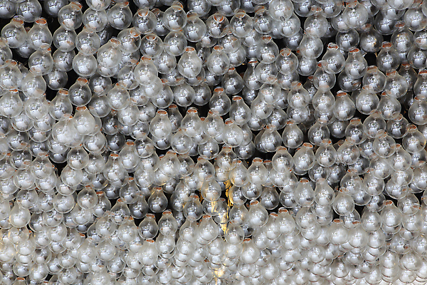 포토 JPG 해외이미지 백그라운드 컨셉 생각 비즈니스 성공 조명 아이디어 나선형 창조 사람없음 파란색 빛 환경 어둠 힘 장비 흰색 램프 죽음 보호 군중 야간 대표 리더 기회 만들기 문학 개성 해결 빛망울 혁명 발명 우수 지능 특별함 효율 해외202004 해외포토 자연요소 컬러 무늬 모션 사람 절기 파일형식 이미지허브