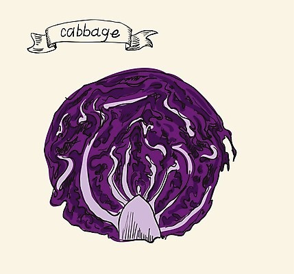 EPS 해외이미지 식물 길 음식 백그라운드 잎 다이어트 채소 일러스트 재료 자연 수채화 건강 저울 요리 미술 그래픽 초록색 농장 머리 정원 페인트 샐러드 수확 흰색 신선 원형 그룹 시장 만화 스케치 먹기 가득함 오브젝트 그림 유기농 양배추 날것 내추럴 고립 채식주의자 케일 해외202004 해외일러스트 도형 웰빙 컬러 농업 모션 문화예술 신체부위 생태계 채식 파일형식 벡터 이미지허브