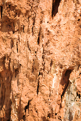 포토 JPG 해외이미지 디자인 선 모래 백그라운드 패턴 자연 사람없음 갈색 질감 사암 골절 지질학 해외202004 해외포토 교육 컬러 무늬 의학 돌_바위 생태계 파일형식 이미지허브