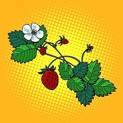 EPS 해외이미지 식물 열매 꽃 음식 백그라운드 잎 꽃무늬 농업 다이어트 과일 일러스트 자연 벽지 딸기 디저트 건강 미술 빨간색 초록색 여름 정원 수확 벚꽃 흰색 나뭇가지 신선 신용카드 그리기 달콤 맛 씻기 숲 만화 허브 유기농 복고 코믹 부드러움 짐싸기 내추럴 숙성 엘리먼트 팝 해외202004 해외일러스트 나무 웰빙 계절 산업 컬러 컨셉 무늬 모션 문화예술 금융 청결 감각 생태계 파일형식 벡터 이미지허브