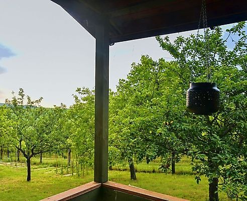 포토 JPG 해외이미지 나무 꽃 유럽 여행 백그라운드 건축양식 창문 자연 탁자 주택 핀란드 사람없음 야외 건물 목재 빨간색 초록색 여름 태양 농장 노란색 정원 검은색 수확 흰색 공구 시골 야간 숲 시골집 보케 블랙베리 건포도 뒤뜰 옛날 전경 해외202004 해외포토 자연요소 식물 건축물 계절 건축 나라 컬러 가구 농업 과일 재료 포도 북유럽 풍경 도구 생태계 건과일 파일형식 탑뷰 이미지허브