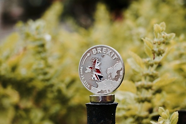 포토 JPG 해외이미지 식물 꽃 유럽 백그라운드 돈 자연 사람없음 야외 초록색 금융 동전 가치 다리찢기 떠남 해외202004 해외포토 나라 컬러 모션 경제 재산 생태계 파일형식 이미지허브