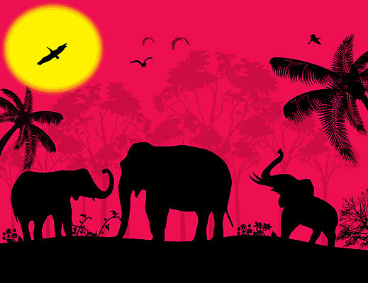 EPS 해외이미지 나무 식물 동물 공원 실루엣 야생동물 분홍색 여행 일러스트 포유류 아프리카 자연 조류 아침 코끼리 파노라마 손바닥 미술 풍경 여름 빛 햇빛 태양 일출 침묵 황혼 일몰 새벽 사막 자유 사파리 상승 장면 동물상 사바나 수평선 해외202004 해외일러스트 주간 자연요소 손 계절 공공시설 나라 컬러 컨셉 문화예술 촬영기법 조형물 노을 소리 생태계 파일형식 벡터 이미지허브