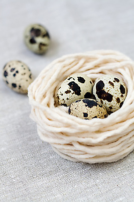 포토 JPG 해외이미지 다이어트 아침 건강 사람없음 회색 흰색 직물 면 실 맛 둥지 아침식사 작음 메추리 해외202004 해외포토 주간 컬러 컨셉 식사 크기 파일형식 이미지허브