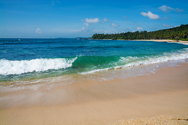 포토 JPG 해외이미지 아시아 모래 파도 바다 여행 자연 열대 풍경 사람없음 초록색 물 모래사장 황금 12월 인도양 내추럴 스리랑카 이국적 파라다이스 해외202004 해외포토 자연요소 나라 컬러 날짜 생태계 파일형식 이미지허브