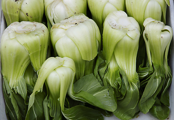 포토 JPG 해외이미지 전통 음식 줄기 잎 농업 채소 재료 건강 요리 동양인 사람없음 초록색 상자 세일 중국 수확 신선 그룹 시장 닫기 농부 양배추 날것 각도 소매 내추럴 채식주의자 많음 해외202004 해외포토 식물 직업 산업 아시아 컬러 컨셉 모션 인종 채식 파일형식 이미지허브