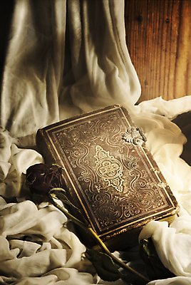 포토 JPG 해외이미지 전통 꽃 종이 백그라운드 꽃무늬 캘리그라피 잉크 건조 발렌타인데이 사랑 미술 사람없음 목재 책 세로 빛 장미 성경 침묵 수확 골동품 램프 죽음 직물 중세 야간 편지 삼베 심볼 만족 그림 질감 복고 캔버스 문학 그런지 옛날 필기체 스타일 해외202004 해외포토 자연요소 나무 식물 문자 감정 무늬 농업 재료 종교용품 데이이벤트 문화예술 조명 소리 역사 파일형식 천_직물 이미지허브