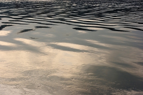포토 JPG 해외이미지 호수 물결 파도 바다 백그라운드 패턴 자연 벽지 표면 추상 바닥 사람없음 초록색 물 빛 강 햇빛 태양 반사 검은색 수중 수영 어둠 목욕 회색 젖음 흰색 연못 투명 액체 매끈함 작음 시원함 상쾌 다이빙 질감 웨이브 심플 깊이 블러 해외202004 해외포토 자연요소 감정 컬러 무늬 청결 수상스포츠 감각 크기 생태계 수중스포츠 파일형식 이미지허브
