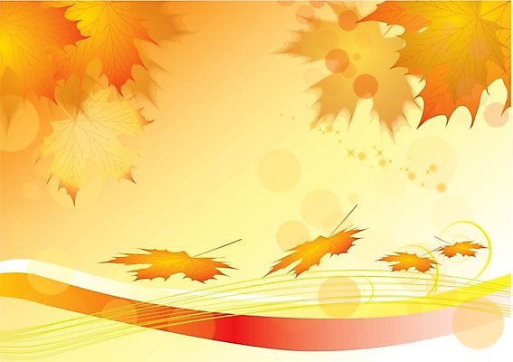 EPS 해외이미지 식물 계절 백그라운드 단풍 잎 꽃무늬 패턴 오렌지 일러스트 자연 추상 미술 그래픽 장식 빨간색 컬러풀 갈색 노란색 수확 가을 9월 11월 두루마리 심볼 10월 엘리먼트 해외202004 해외일러스트 꽃 컬러 무늬 농업 과일 문화예술 날짜 생태계 파일형식 벡터 이미지허브