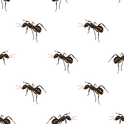 EPS 해외이미지 동물 길 선 곤충 백그라운드 패턴 일러스트 자국 건강 환경 펼침 업무 환경오염 해충 벌레 위생 위험 위협 가득함 언덕 개미 반항 농약 식민지 제어 줄서기 살균 해외202004 해외일러스트 컨셉 무늬 모션 작업 파일형식 벡터 이미지허브