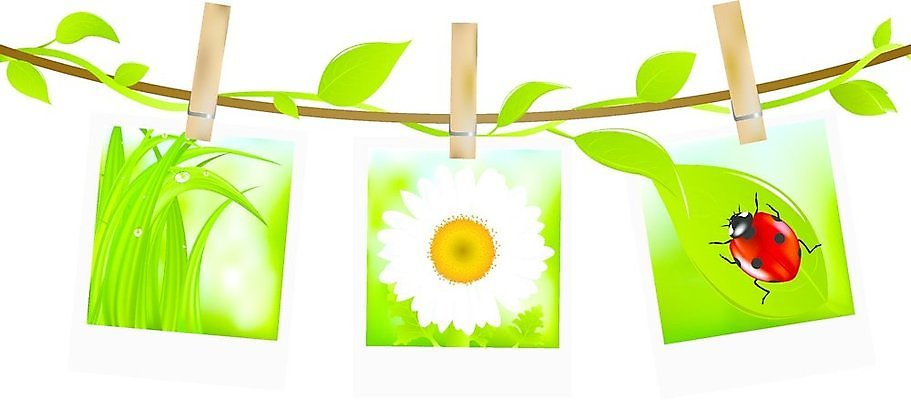 EPS 해외이미지 꽃 종이 백그라운드 잎 일러스트 프레임 미술 여름 우주 검은색 사진촬영 공백 매트 수확 물방울 신용카드 클래식 가장자리 우아함 이슬 앨범 필름 향수 활 그림 복고 데이지 무당벌레 초대 뼈대 빨래집게 시트 스크랩북 엘리먼트 옛날 캐모마일 해외202004 해외일러스트 식물 계절 컬러 곤충 컨셉 농업 문화예술 집게 금융 촬영 화장품 둘레 허브 파일형식 벡터 이미지허브