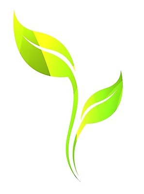 EPS 해외이미지 나무 식물 잡화 커피 선 잎 일러스트 자연 미술 초록색 빛 농작물 노란색 디지털 봄 줄무늬 심볼 사인 그림 에코 친환경 고립 생태학 활자 해외202004 해외일러스트 계절 교육 음료 컬러 무늬 농업 문화예술 환경 생태계 활자판 파일형식 벡터 이미지허브