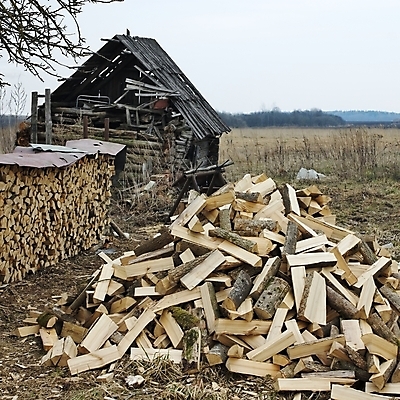 포토 JPG 해외이미지 나무 자연 불 사람없음 목재 울타리 마을 소나무 준비 매듭 통나무 나무껍질 법정 톱밥 톱질 해외202004 해외포토 자연요소 식물 재료 모션 담장 껍질 가루 생태계 파일형식 이미지허브