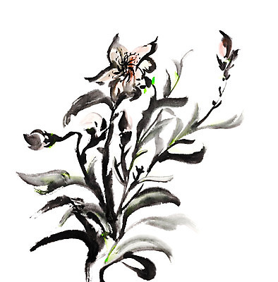 JPG 해외이미지 꽃 일러스트 붓터치 미술 사람없음 먹 동양화 그림 번짐 해외202004 해외일러스트 식물 서예 문화예술 파일형식 효과 이미지허브