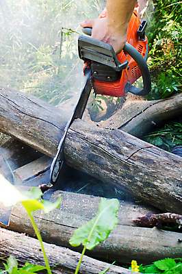 포토 JPG 해외이미지 나무 직업 남자 산업 조각 포즈 십자가 오렌지 비즈니스 부분 자연 안전 사람없음 야외 목재 쌓기 힘 기계 장비 나뭇가지 공구 업무 칼날 위험 장작 자르기 목수 묘사 통나무 날카로움 나무껍질 손질 잡동사니 편리함 수목 재주꾼 전기톱 조작 톱밥 해외202004 해외포토 식물 컨셉 과일 재료 모션 사람 껍질 도구 작업 가루 생태계 톱 파일형식 이미지허브