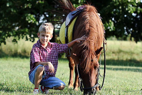 포토 JPG 해외이미지 동물 행복 어린이 밭 포유류 자연 한명 소년 야외 초록색 농장 가축 목장 흰색 시골 조랑말 찰과상 해외202004 해외포토 1 남자 감정 컬러 농업 사람 말_동물 상처 생태계 파일형식 이미지허브