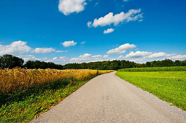 포토 JPG 해외이미지 나무 식물 구름 계절 꽃잎 유럽 도로 길 잎 밭 농업 자연 하늘 독일 옥수수 풍경 잔디 사람없음 야외 초록색 여름 파란색 농장 농경지 수확 성장 시골 신선 숲 아스팔트 땅 시리얼 밀 뿌리기 언덕 귀 먼지 내추럴 땅바닥 밭일 바이에른 세련 해외202004 해외포토 자연요소 꽃 나라 산업 음식 컬러 교통시설 모션 곡류 바닥 신체부위 생태계 파일형식 이미지허브