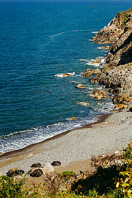포토 JPG 해외이미지 아시아 모래 파도 바다 섬 여행 자연 하늘 휴가 풍경 사람없음 야외 물 여름 파란색 그림 베트남 석호 내추럴 무인 해외202004 해외포토 자연요소 계절 나라 컬러 동남아시아 생태계 파일형식 이미지허브