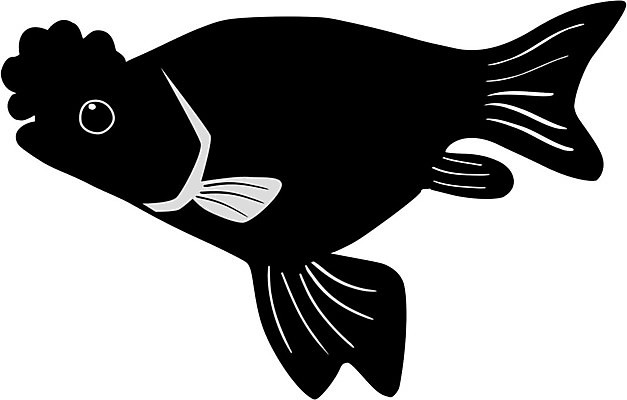EPS 해외이미지 디자인 실루엣 야생동물 음식 스포츠 바다 일러스트 자연 낚시 건강 어류 물 강 검은색 해산물 사인 민물 해외202004 해외일러스트 자연요소 동물 컬러 레저 촬영기법 수중동물 생태계 파일형식 벡터 이미지허브
