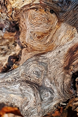 포토 JPG 해외이미지 벽 백그라운드 패턴 부분 자연 표면 추상 사람없음 목재 갈색 공백 소나무 널 숲 낟알 질감 복고 매듭 목공예 결 담배꽁초 내추럴 수목 옛날 해외202004 해외포토 나무 컬러 무늬 재료 담배 공예 생태계 파일형식 이미지허브