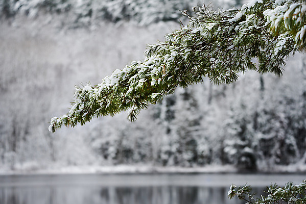 포토 JPG 해외이미지 호수 자연 사람없음 야외 물 강 반사 평화 환경 침묵 추위 흰색 나뭇가지 시골 신선 황무지 숲 11월 침엽수 야광 내추럴 삼림지대 눈내림 해외202004 해외포토 자연요소 나무 컬러 컨셉 눈_날씨 빛 소리 날짜 생태계 파일형식 이미지허브