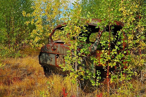 포토 JPG 해외이미지 나무 잎 자동차 사람없음 야외 목재 금속 가을 숲 버리기 오브젝트 부식 구식 깨짐 옛날 해외202004 해외포토 식물 계절 육상교통 컨셉 재료 모션 재질 파일형식 이미지허브