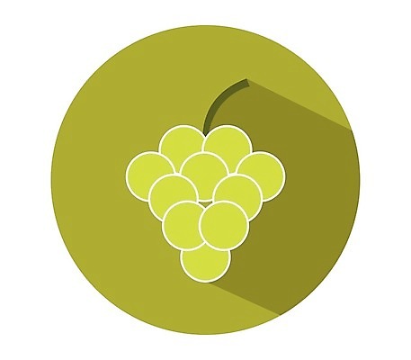 EPS 해외이미지 식물 디자인 열매 선 음식 잎 농업 과일 일러스트 포도 디저트 그래픽 와인 플랫 달콤 먹기 심볼 사인 유기농 심플 윤곽 포도나무 내추럴 고립 숙성 양조장 채식주의자 타격 미니멀 해외202004 해외일러스트 웰빙 산업 모션 주류 맛 과일나무 채식 파일형식 벡터 이미지허브