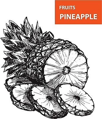 EPS 해외이미지 일러스트 단면 사람없음 검은색 라인아트 파인애플 슬라이스 해외202004 해외일러스트 선 컬러 과일 열대과일 파일형식 벡터 이미지허브