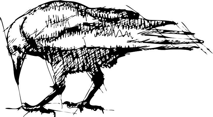 EPS 해외이미지 동물 선 일러스트 조류 잉크 미술 펜 우주 어둠 무서움 스케치 문신 그림 까마귀 혼자 해외202004 해외일러스트 감정 문화예술 필기구 파일형식 벡터 이미지허브