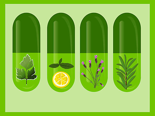 EPS 해외이미지 식물 잎 과일 일러스트 파슬리 건강 미술 치료 초록색 알약 약 신선 레몬 민트 허브 유기농 향기 아로마 향 라벤더 로즈메리 내추럴 해외202004 해외일러스트 웰빙 꽃 컬러 채소 의학 문화예술 냄새 파일형식 벡터 이미지허브