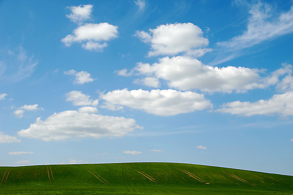 포토 JPG 해외이미지 계절 패턴 밭 농업 곡선 자연 하늘 추상 휴식 덴마크 풍경 사람없음 야외 초록색 여름 파란색 농경지 평화 우주 환경 맑음 침묵 봄 자유 수확 성장 시골 신선 고독 언덕 장면 내추럴 선로 해외202004 해외포토 감정 산업 선 컬러 컨셉 무늬 날씨 북유럽 농장 소리 생태계 파일형식 이미지허브
