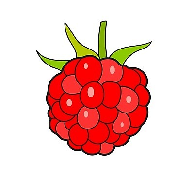 EPS 해외이미지 클립아트 식물 디자인 열매 음식 백그라운드 잎 다이어트 과일 일러스트 재료 자연 디저트 건강 그래픽 빨간색 초록색 세트 3D 흰색 신선 그룹 달콤 맛 상품 잼 만화 심볼 오브젝트 사인 그림 유기농 산딸기 블랙베리 내추럴 고립 숙성 채식주의자 해외202004 해외일러스트 웰빙 컬러 컨셉 소스_음식 디지털합성 생태계 채식 파일형식 벡터 이미지허브