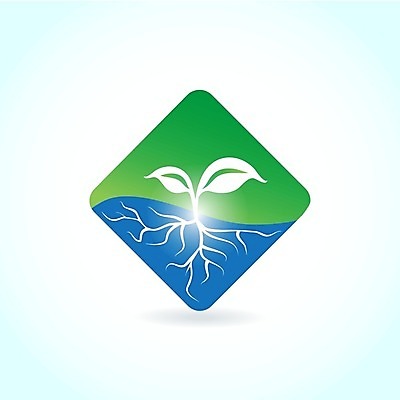 EPS 해외이미지 모양 식물 디자인 음식 컨셉 잎 일러스트 비즈니스 텍스트 자연 추상 건강 미술 그래픽 초록색 빛 세트 꼬리표 라벨 환경 상점 웹 흰색 나뭇가지 신선 원형 상품 심볼 흔적 사인 에코 유기농 생태계 생물학 광택 소매 우표 내추럴 생태학 엘리먼트 해외202004 해외일러스트 도형 나무 웰빙 교육 컬러 무늬 인터넷 문화예술 프레임 파일형식 벡터 이미지허브