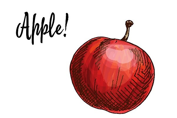 EPS 해외이미지 식물 음식 백그라운드 농업 다이어트 과일 일러스트 자연 디저트 건강 미술 빨간색 빛 반사 정원 수확 가을 흰색 신선 달콤 사과 9월 만화 먹기 오브젝트 싱글 그림 유기농 내추럴 고립 숙성 채식주의자 해외202004 해외일러스트 웰빙 계절 산업 컬러 모션 문화예술 날짜 맛 생태계 채식 파일형식 벡터 이미지허브