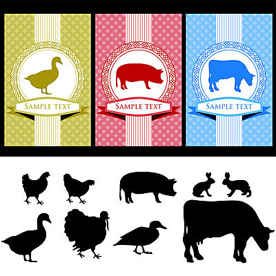 EPS 해외이미지 일러스트 꼬리표 수확 해외202004 해외일러스트 농업 라벨 파일형식 벡터 이미지허브