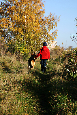 포토 JPG 해외이미지 동물 행복 도로 길 어린이 밭 휴식 안내 한명 미소 소년 초록색 친구 금발 햇빛 맑음 우정 산책 벨트 가을 흰색 양치기 개 큼 주말 간병인 교외 돌봄 복종 신앙심 유대감 선두 해외202004 해외포토 직업 1 헤어스타일 잡화 계절 남자 감정 컬러 컨셉 농업 포유류 관계 교통시설 모션 날씨 표정 사람 태양 크기 파일형식 이미지허브