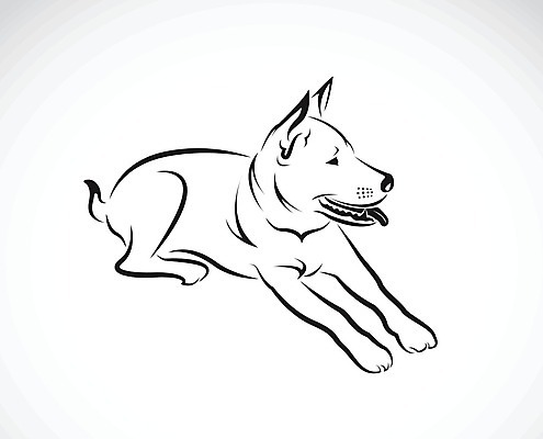 EPS 해외이미지 일러스트 사람없음 반려동물 검은색 흰색 개 강아지 해외202004 해외일러스트 동물 컬러 포유류 파일형식 벡터 이미지허브