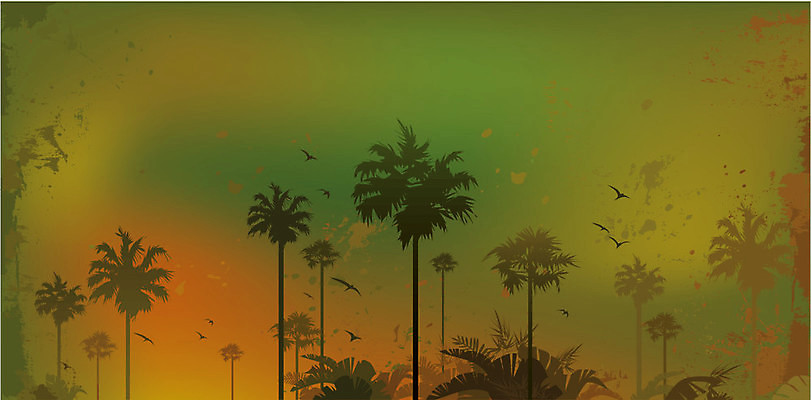 EPS 해외이미지 나무 식물 백그라운드 잎 일러스트 자연 벽지 열대 손바닥 풍경 야외 목재 초록색 여름 신선 황무지 숲 열대우림 질감 내추럴 그런지 이국적 해외202004 해외일러스트 손 계절 컬러 재료 생태계 파일형식 벡터 이미지허브